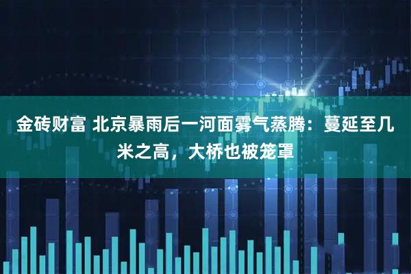 金砖财富 北京暴雨后一河面雾气蒸腾：蔓延至几米之高，大桥也被笼罩