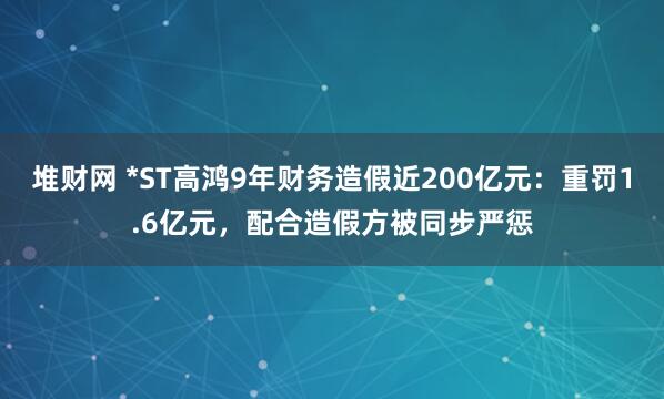 堆财网 *ST高鸿9年财务造假近200亿元：重罚1.6亿元，配合造假方被同步严惩