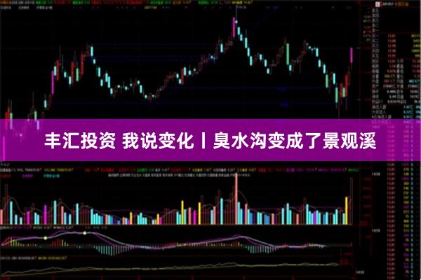 丰汇投资 我说变化丨臭水沟变成了景观溪